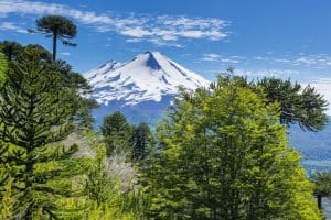 Consultores medio ambientales en Chile